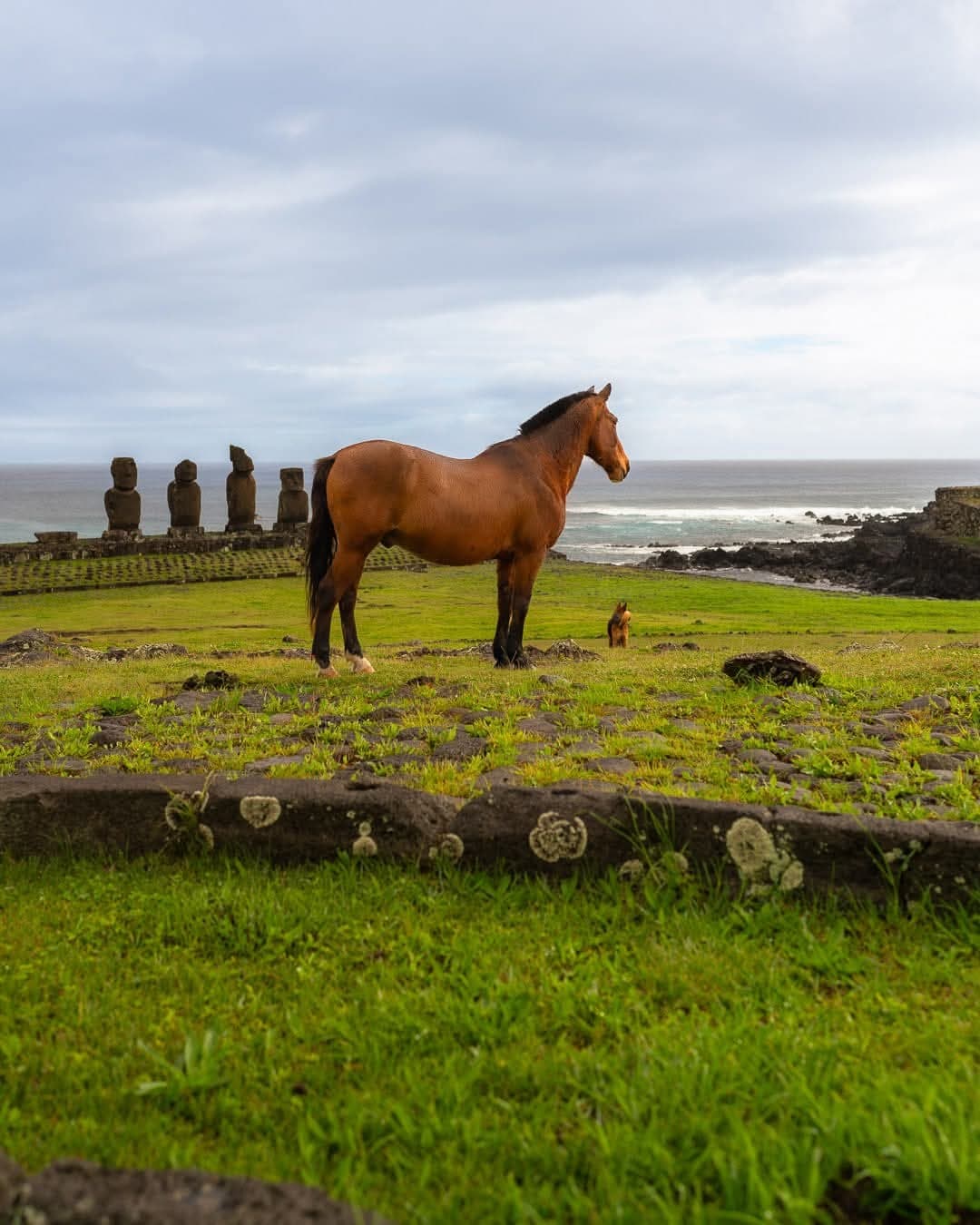 Kuhane Etno-Hostal — Rapa Nui